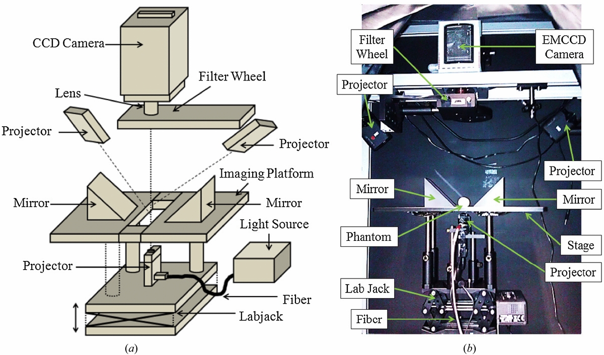 Multi-modal molecular diffuse optical tomography system for small ...