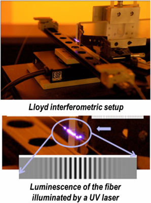 Multiplexed regenerated fiber Bragg gratings for high-temperature ...
