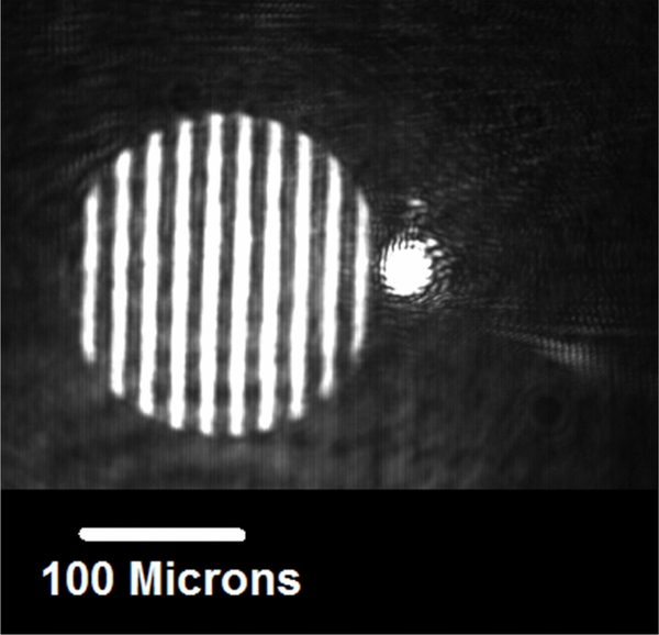 Spatially resolved acoustic spectroscopy for rapid imaging of material ...
