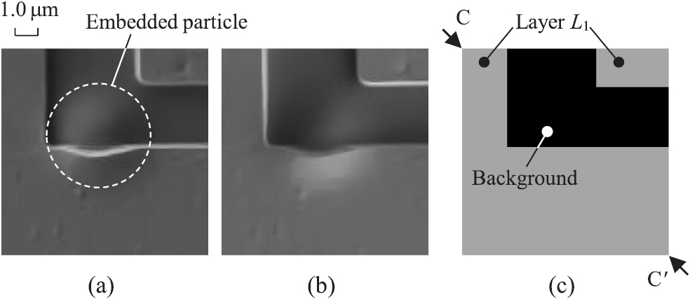 Robust surface reconstruction by design-guided SEM photometric stereo ...