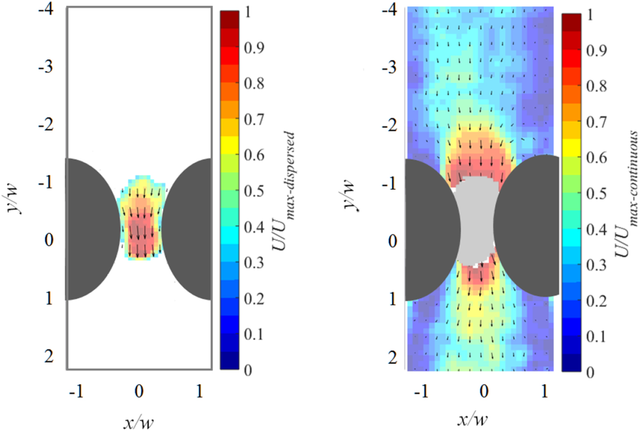 Determining the pressure distribution of a multi-phase flow through a ...