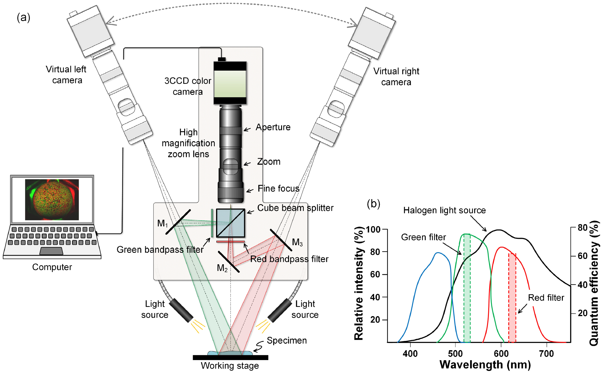 Single Camera Based Measurement A flexible and easy-to-implement single-camera microscopic 3D digital ...