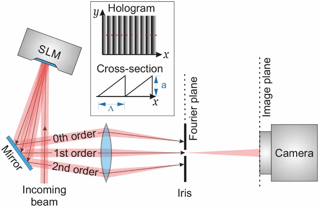 Comprehensive model and performance optimization of phase-only spatial ...