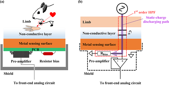 Non-contact capacitive sensing for ECG recording in small animals ...