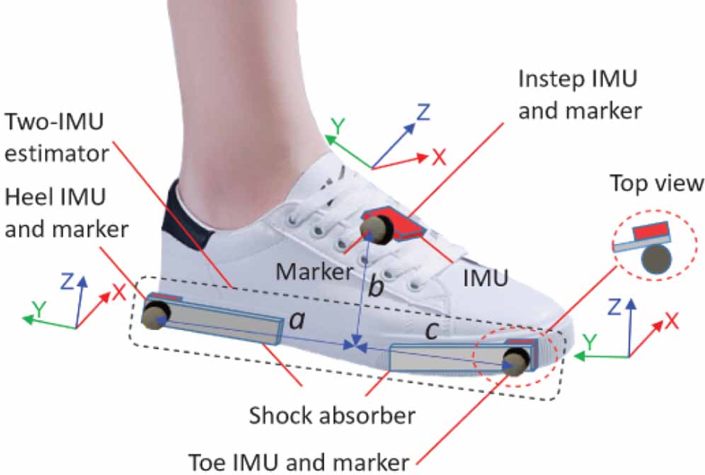Accurate foot clearance estimation during level and uneven ground ...