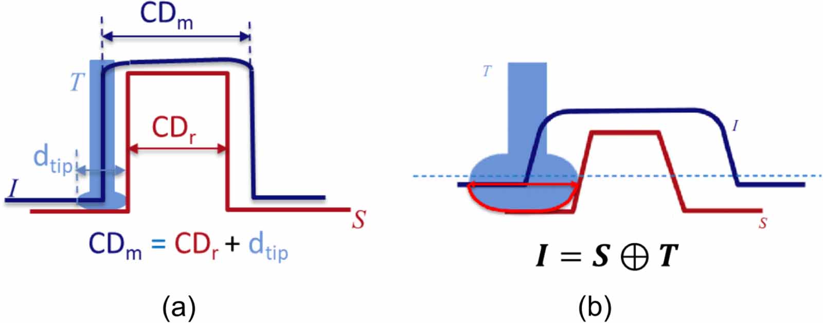 Accurate tip characterization in critical dimension atomic force ...