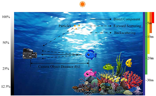 Semi-supervised advancement of underwater visual quality - IOPscience