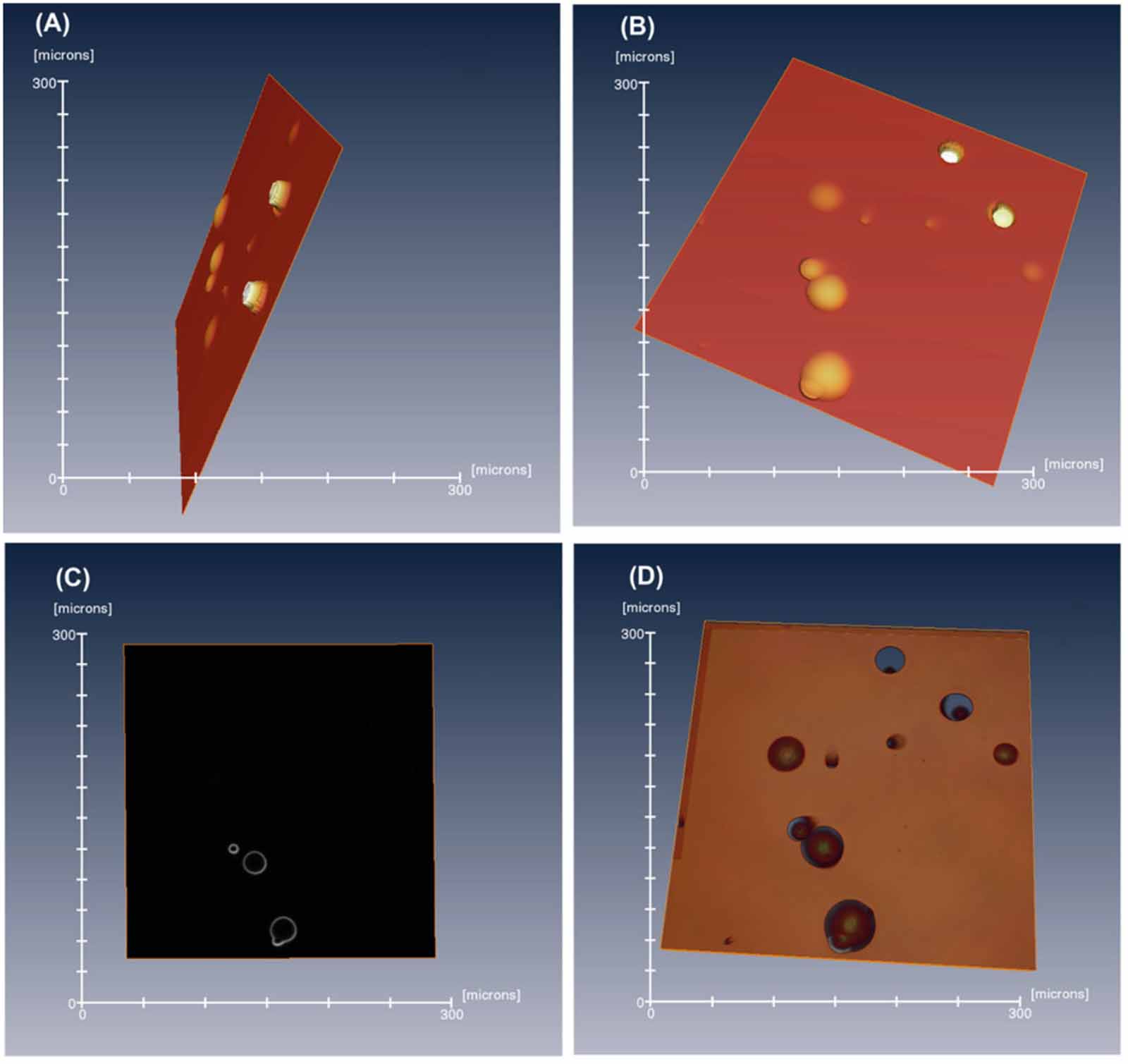 Three-dimensional confocal reflectance microscopy for surface metrology ...