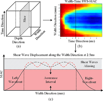 A fast and quantitative measurement of shear wave speed and attenuation ...