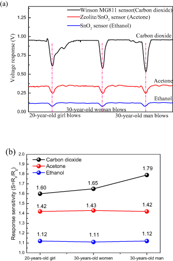 Highly selective acetone detector based on a separation channel and ...