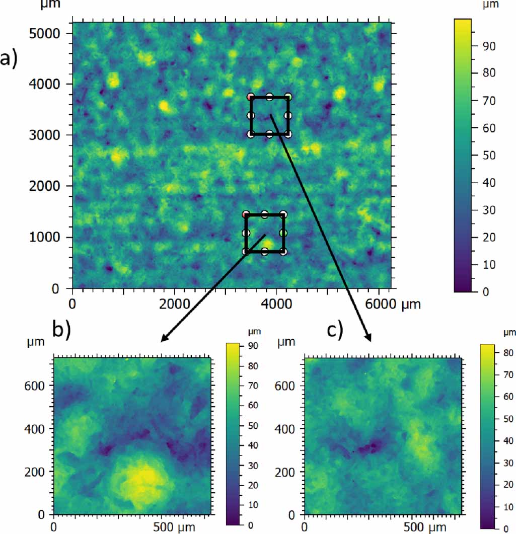 Optical system for the measurement of the surface topography of ...