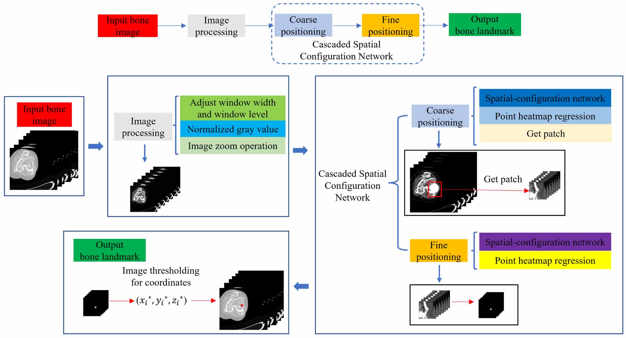 Bone anatomical landmark localization with cascaded spatial ...