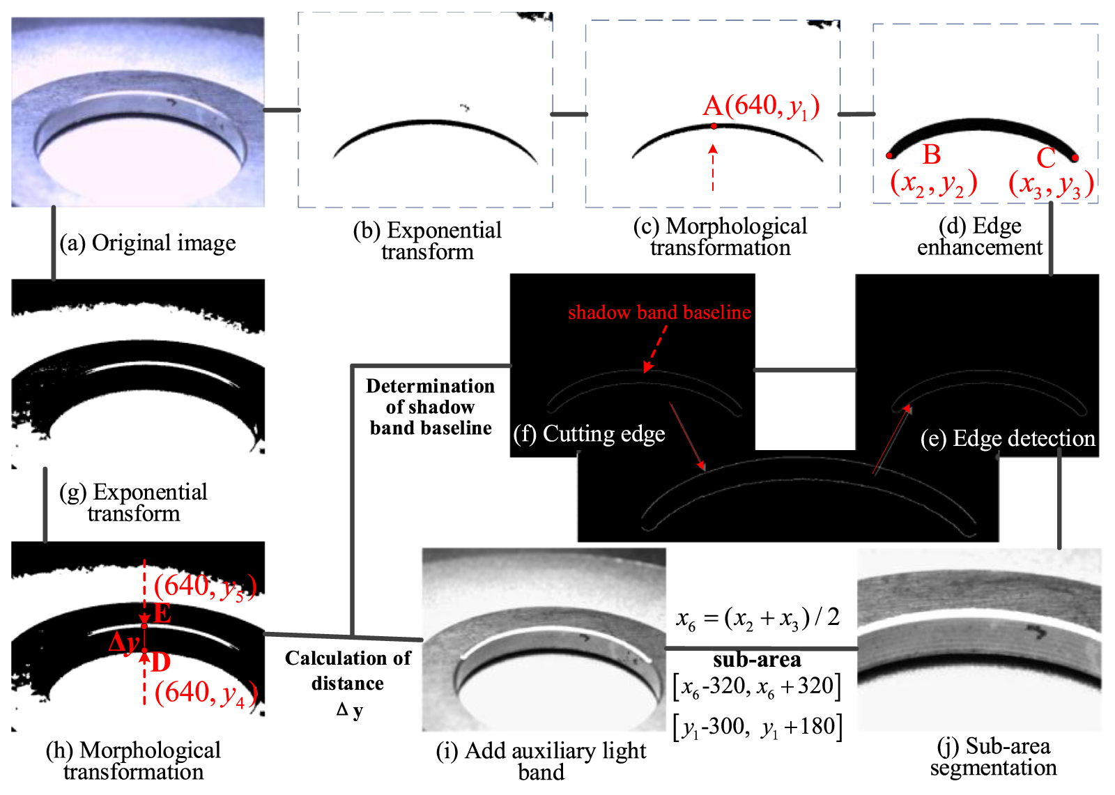 Whole surface defect detection method for bearing rings based on ...