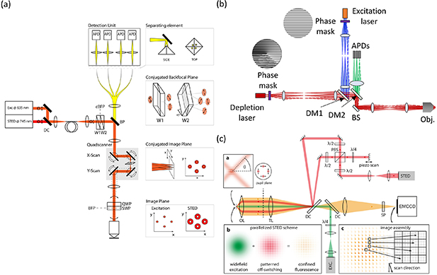 Dest Microscope Image Progresses in implementation of STED microscopy - IOPscience