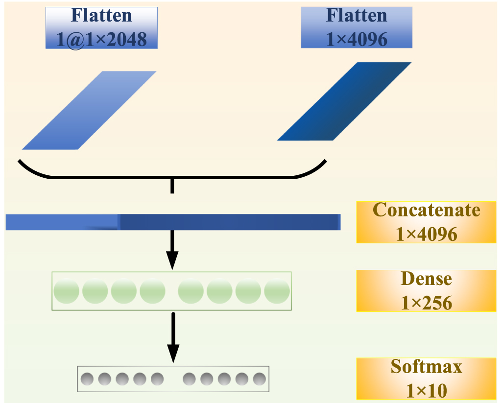 A SENet-TSCNN model developed for fault diagnosis considering squeeze ...