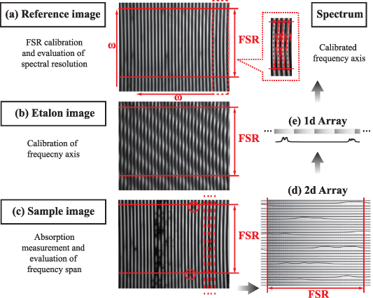 Mid-infrared virtually imaged phased array spectrometer with optical ...
