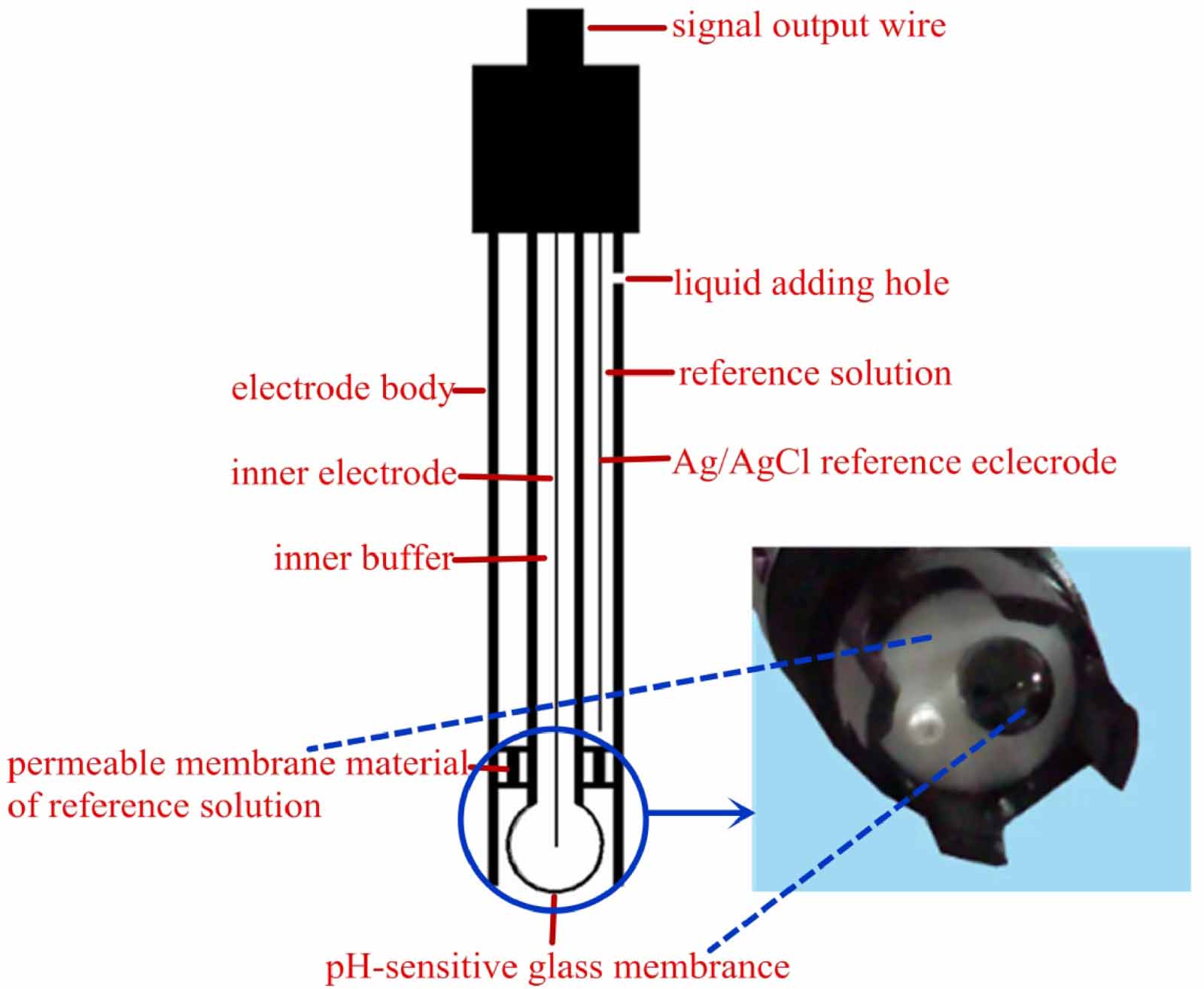 Calibration-free pH long-time measurement method based on electrode ...