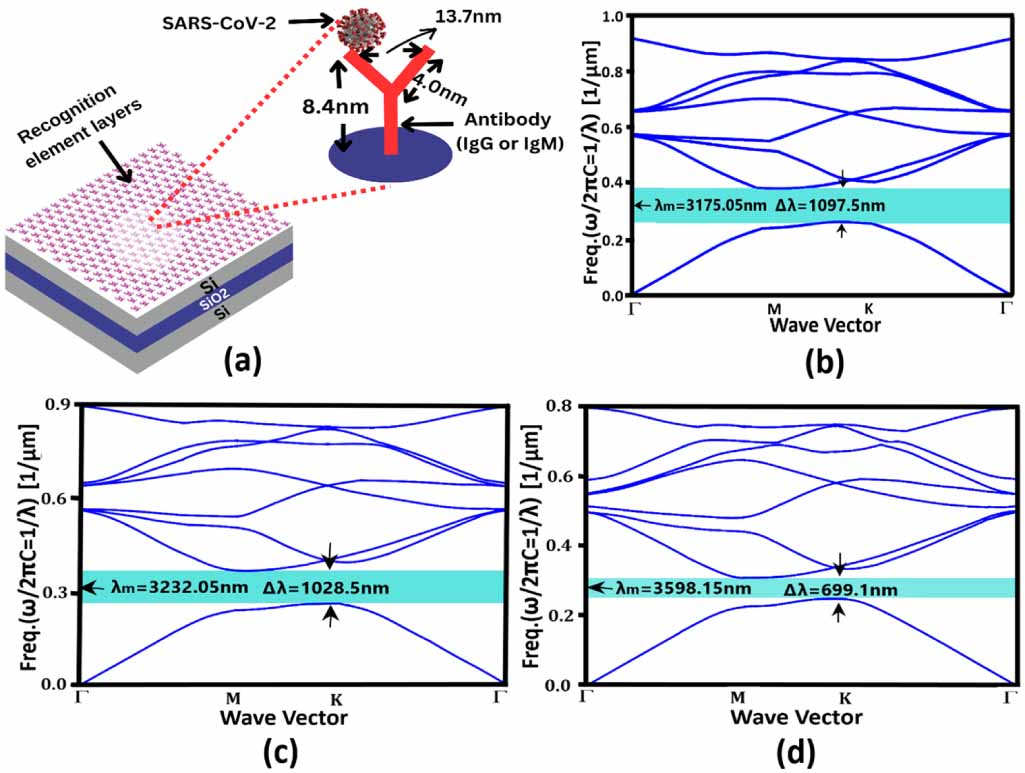 Computational study of 2D photonic crystal based biosensor for SARS-COV ...