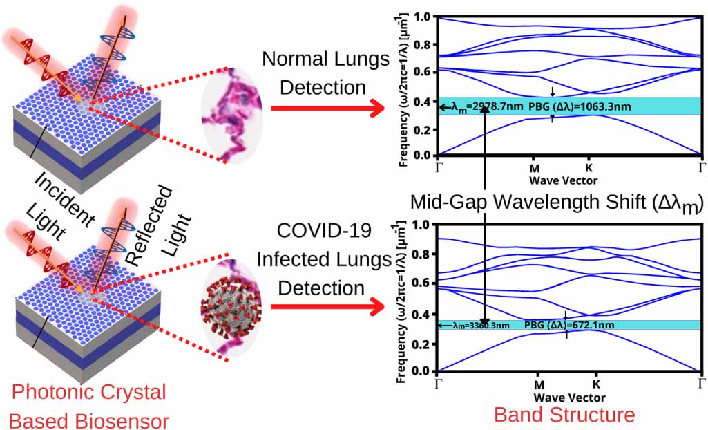 Computational study of 2D photonic crystal based biosensor for SARS-COV ...