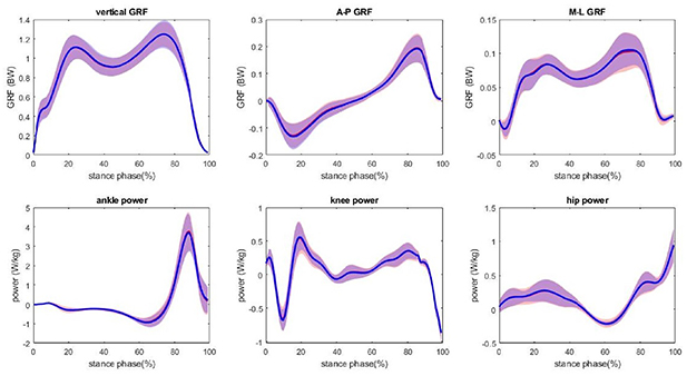 Continuous estimation of kinetic variables while walking using an ...