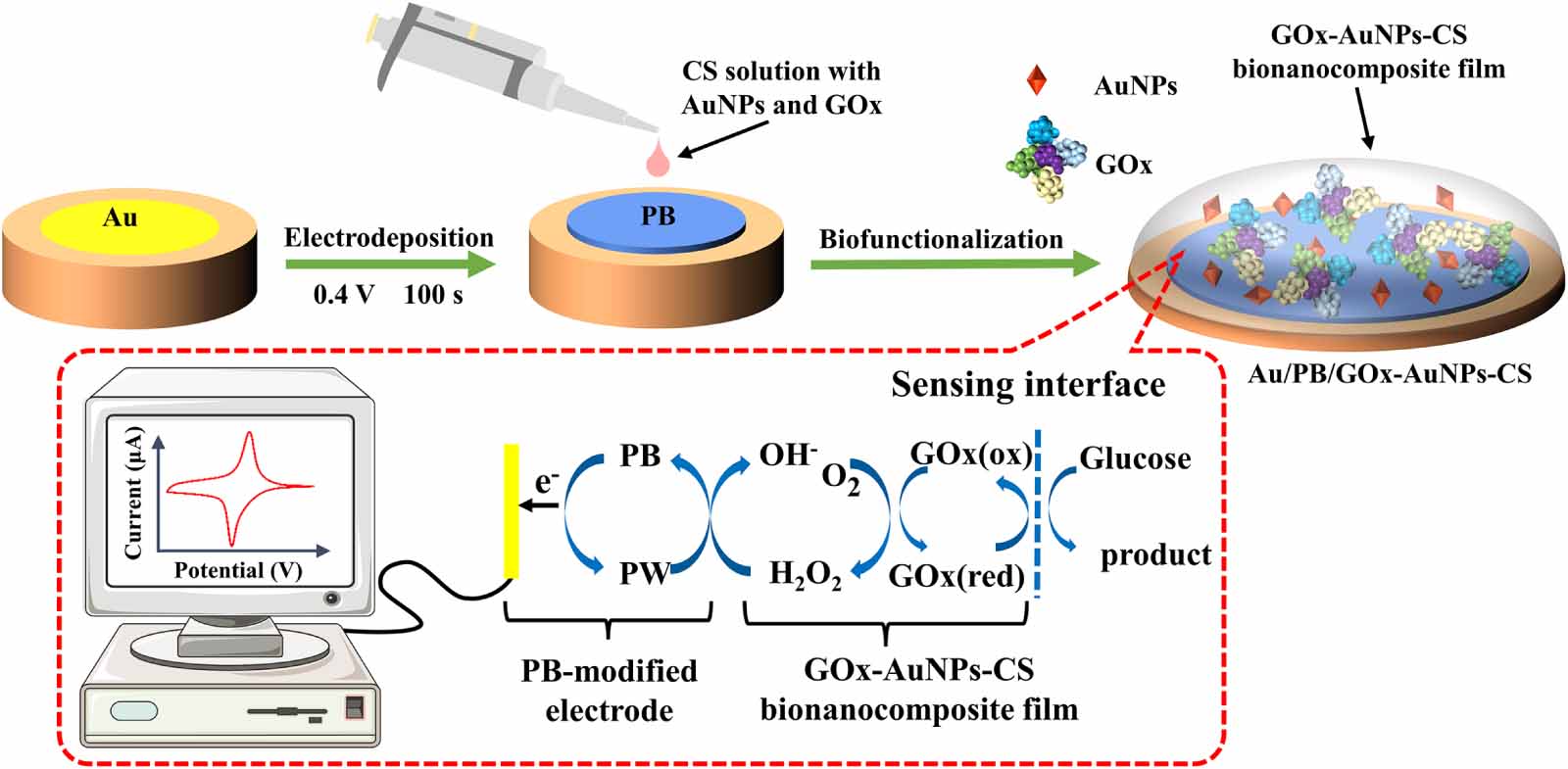 Study of electrochemical biosensor for determination of glucose based ...