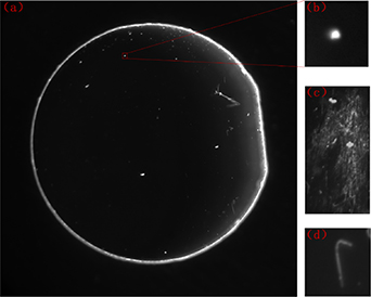Light Defect Automatic identification and classification of surface defects in small ...