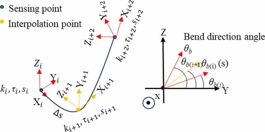 Optical fiber shape reconstruction algorithm based on 3D Euler spiral ...