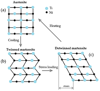 Exploring the potential of 3D printing for shape memory alloys: a ...