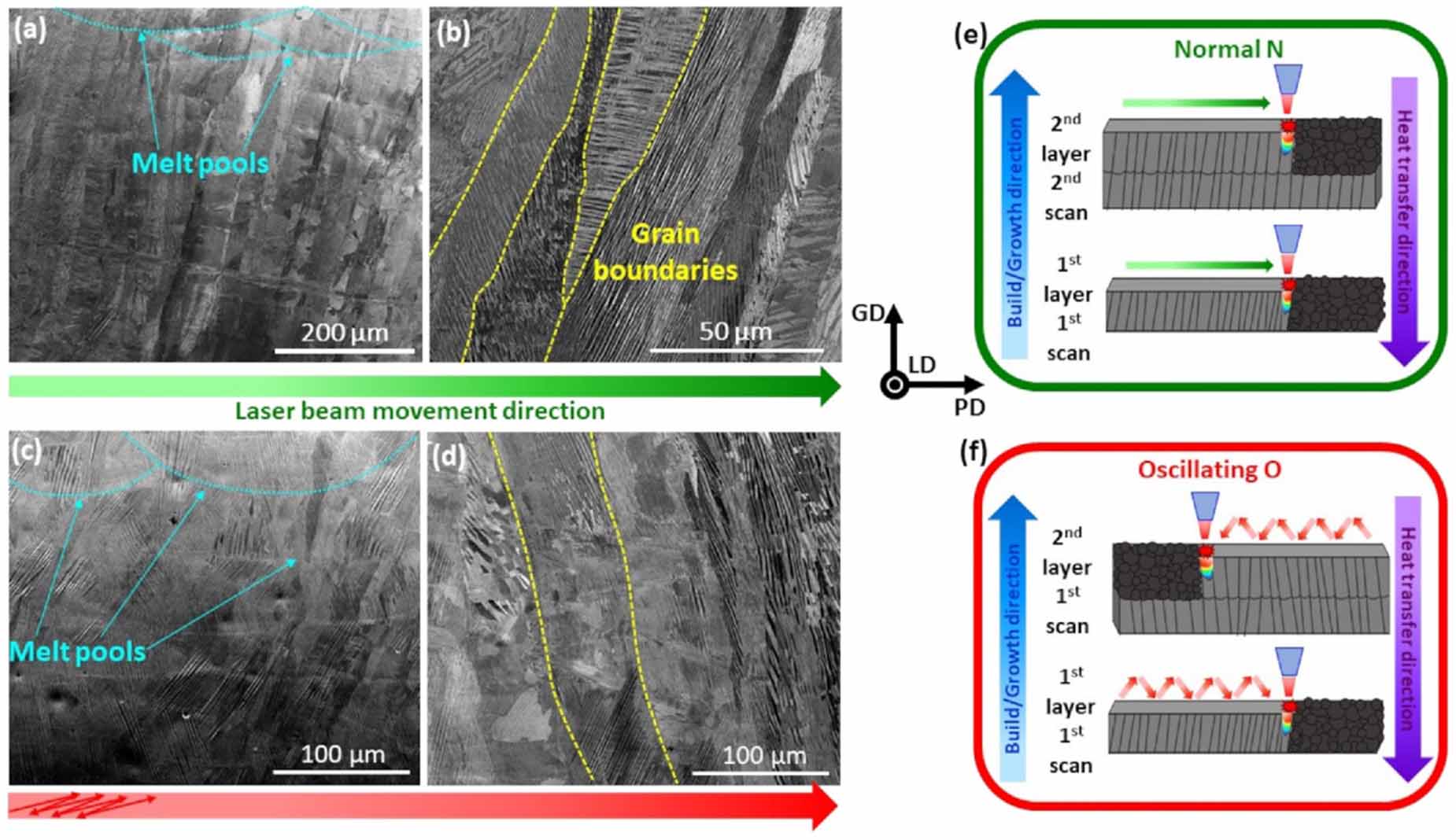Exploring the potential of 3D printing for shape memory