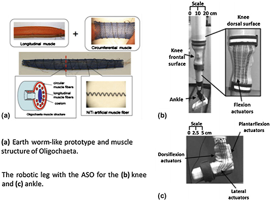 Exploring the potential of 3D printing for shape memory alloys: a ...