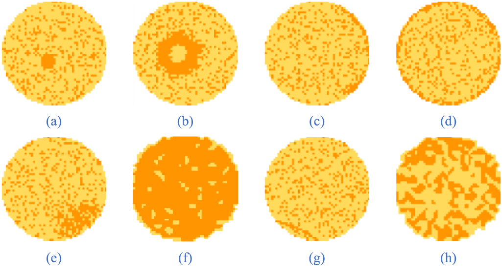 Defect Verification Pattern Wafer defect pattern recognition based on differentiable architecture ...