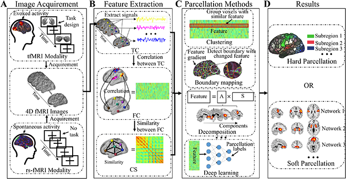 Application of deep learning in fMRI-based human brain parcellation: a ...