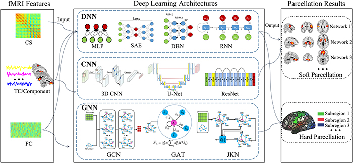 Application of deep learning in fMRI-based human brain parcellation: a ...