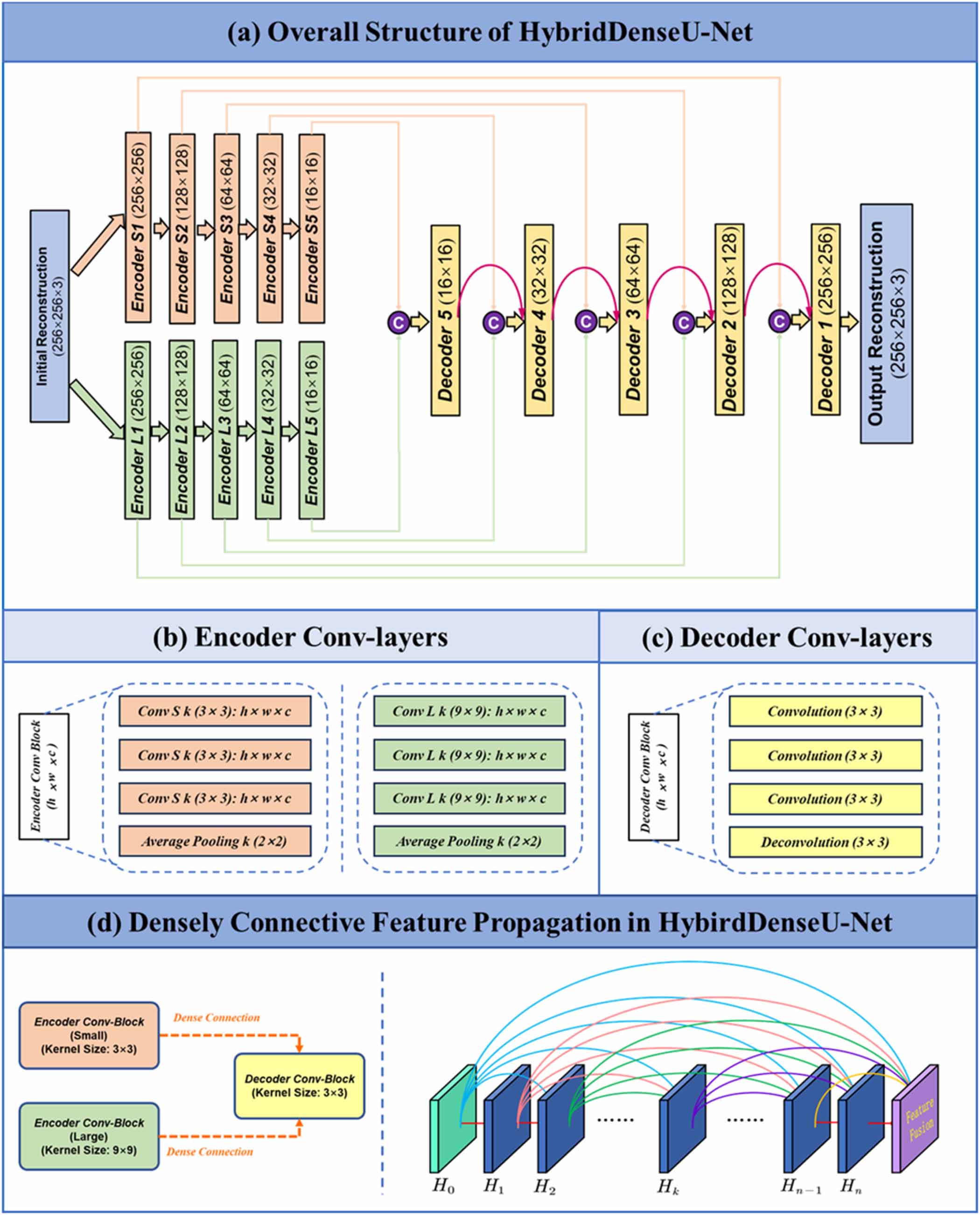 HybridDenseU-Net: learning a multi-scale convolution and dense ...