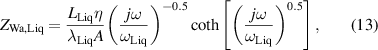 Equation (13)