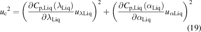 Equation (19)