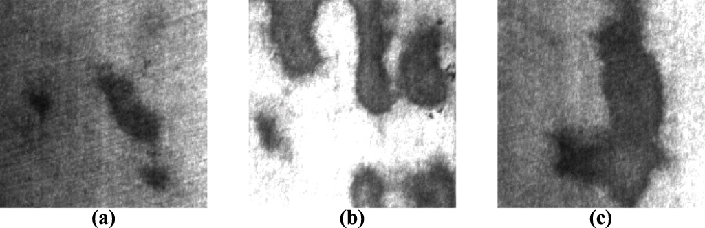 A light weight multi-scale feature fusion steel surface defect ...