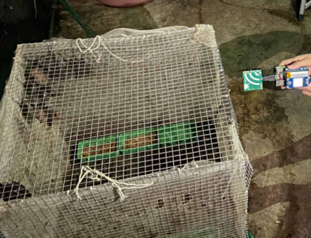 A portable terminal for acoustic monitoring and online recognition of ...