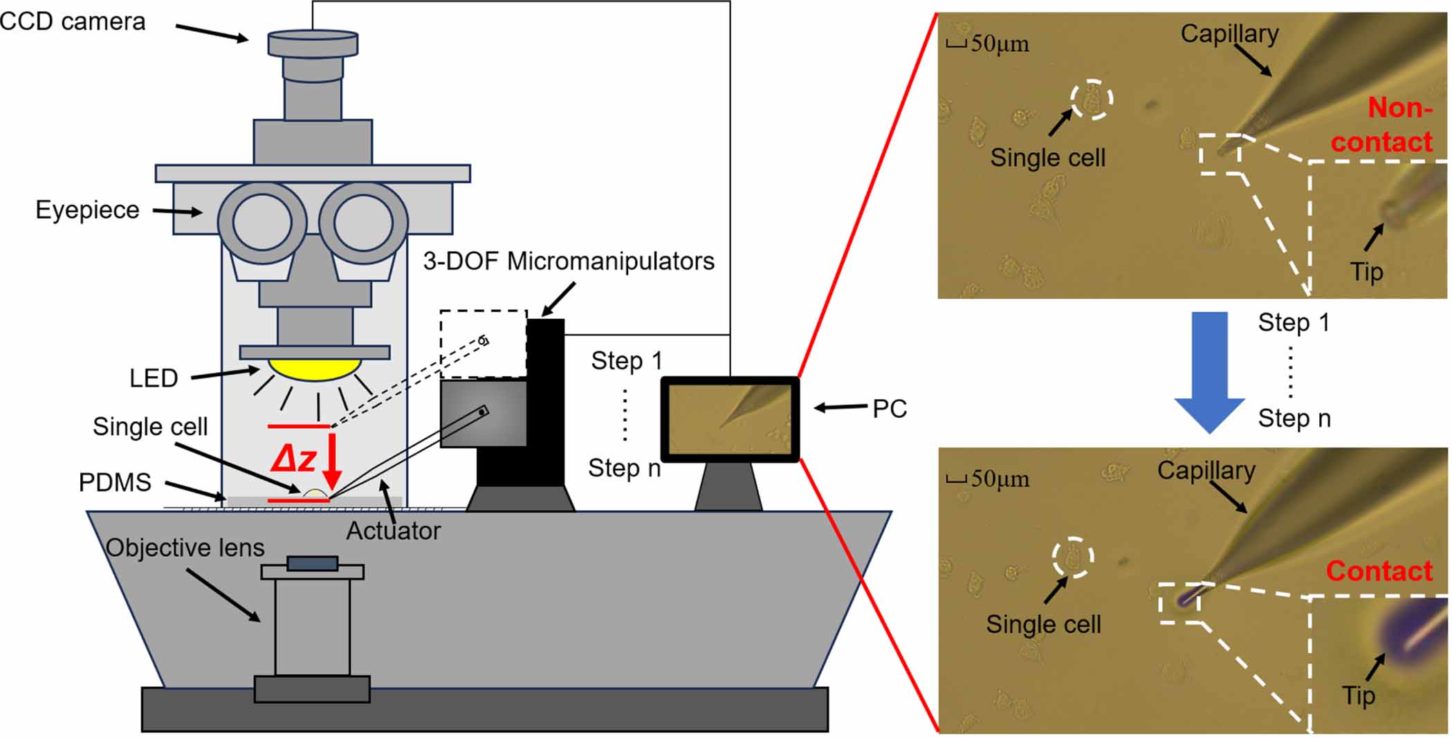 Refraction color based contact detection for single cell ...