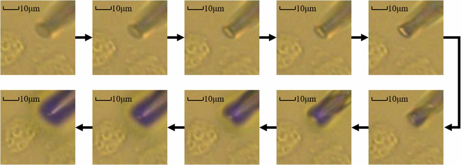Refraction color based contact detection for single cell ...