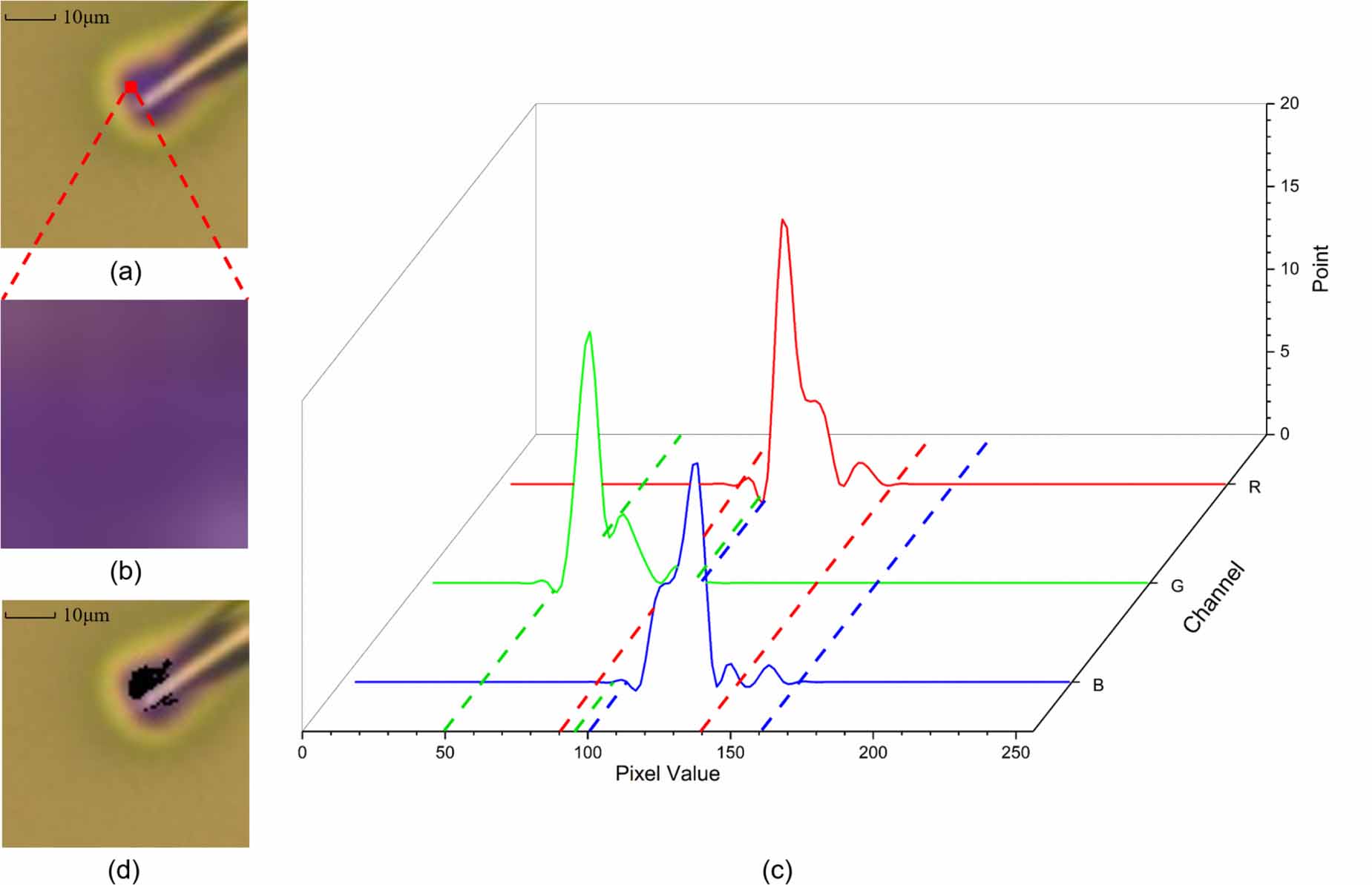 Refraction color based contact detection for single cell ...