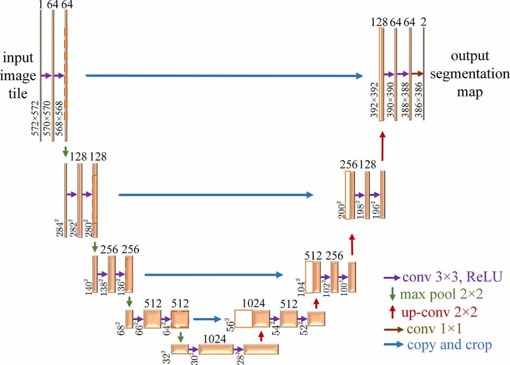 Expression Generation A highly naturalistic facial expression generation method with embedded ...
