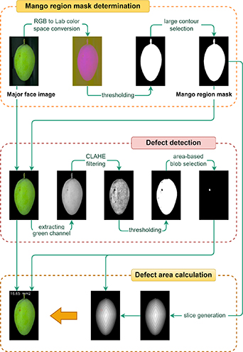 Mango Defect Level Design of a computer vision system for accurate measurement of mango ...