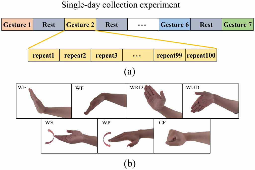 A sEMG-based gesture recognition framework for cross-time tasks ...
