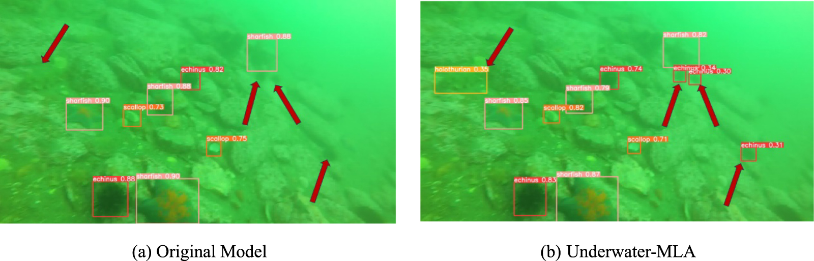 Underwater-MLA: lightweight aggregated underwater object detection ...