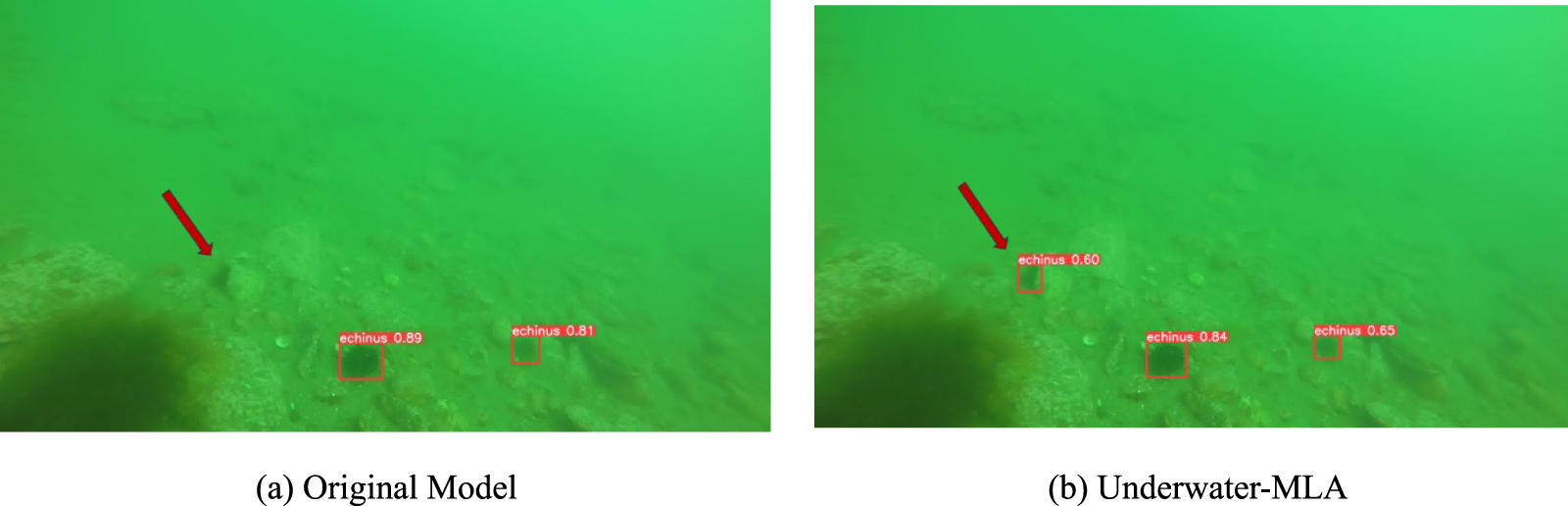 Underwater-MLA: lightweight aggregated underwater object detection ...