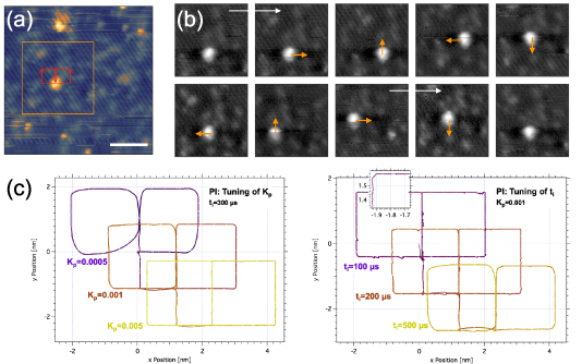 Deployment of an integrated fast scanning probe microscopy module ...