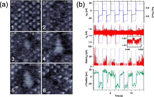 Deployment of an integrated fast scanning probe microscopy module ...