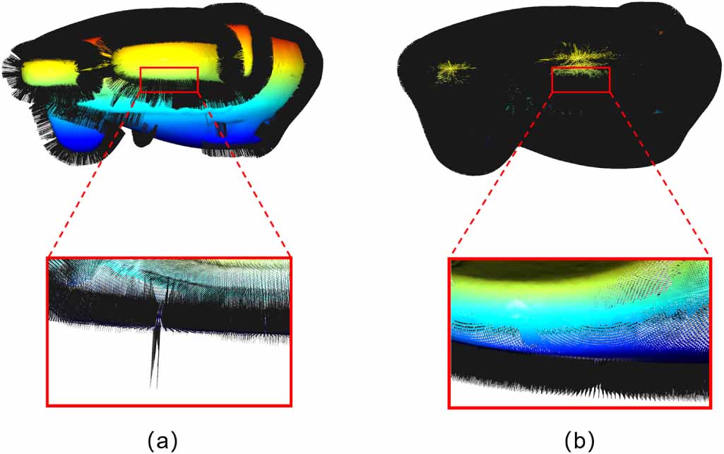 An efficient method for generating orthographic dense depth maps from ...