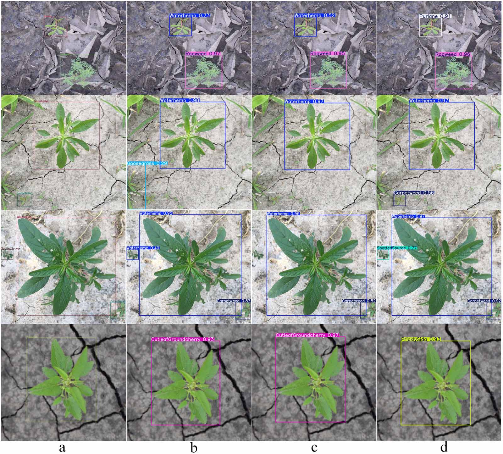 YOLO-CESn: an efficient field weed detection model based on an improved ...